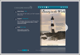 example/flip_book_Conciseness_Template/index.html